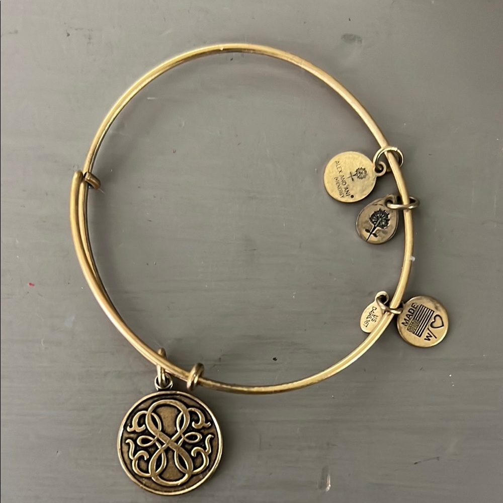 Alex and Ani Gold Expandable Charm Bracelet